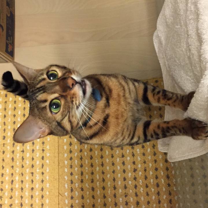 Aae6f4b1 2035 4091 939d afd628b35341