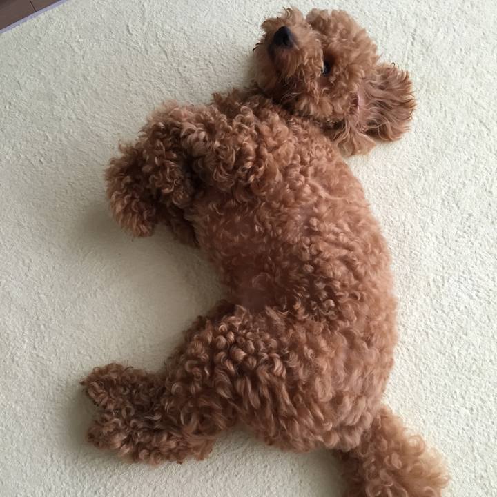 Aae7cb22 8183 4698 975d 8b0125bef1a0