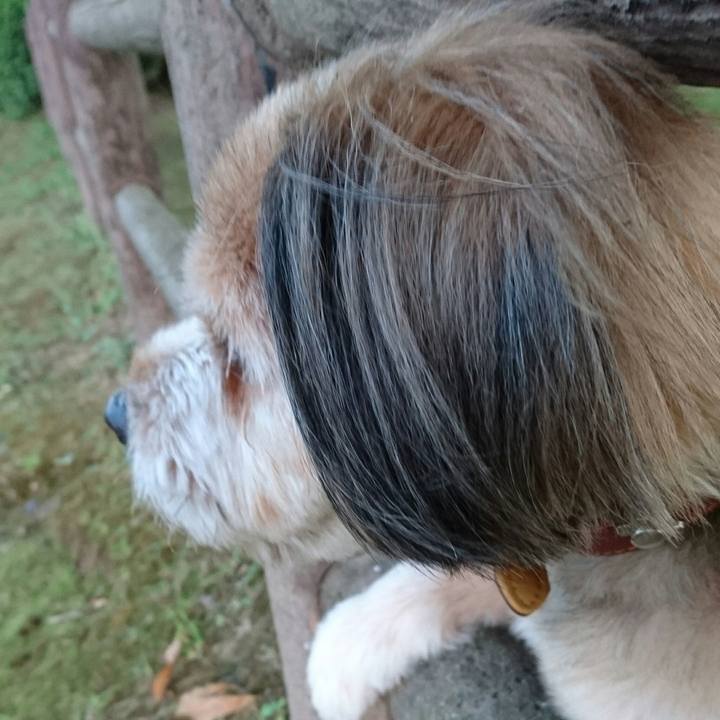 Aae7f212 40f5 447d 9535 1261e9a4ee51