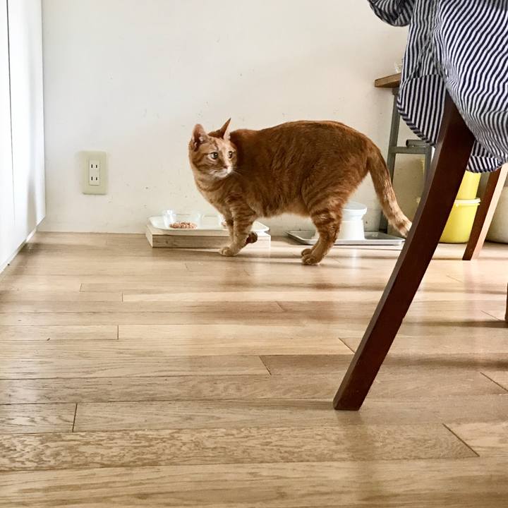 Aae7faa2 ef08 4144 b1ae 0912fded3961