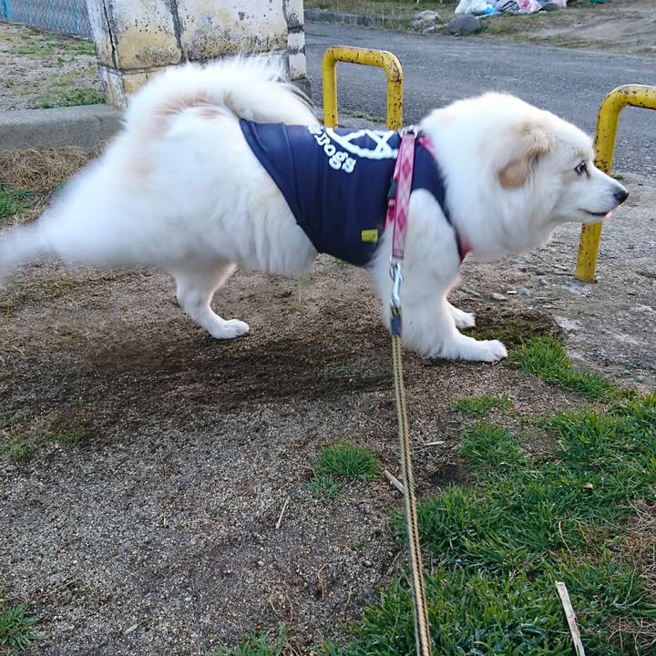 Aae81417 4d48 47cd 9cb2 a22b64925f95