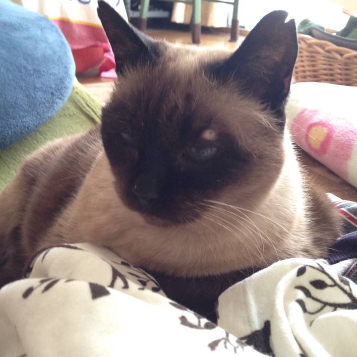 Aae8735c b1a4 4084 ad35 c37d7723667d