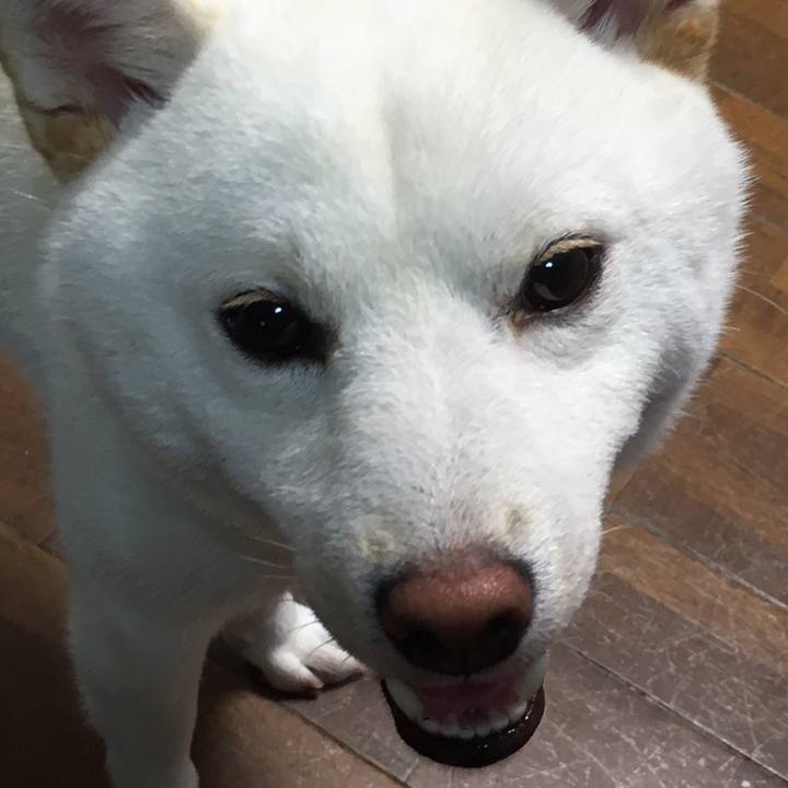 Aae94870 8467 4992 bb58 9026e36a7dce