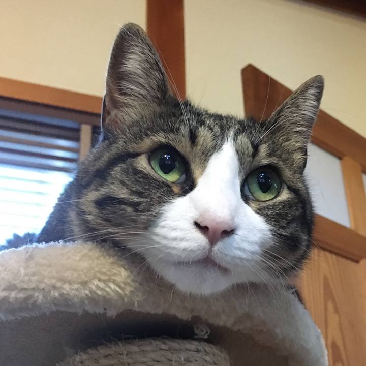 Aae9c0f5 502a 41a0 8e9a 4c02ed13ecba