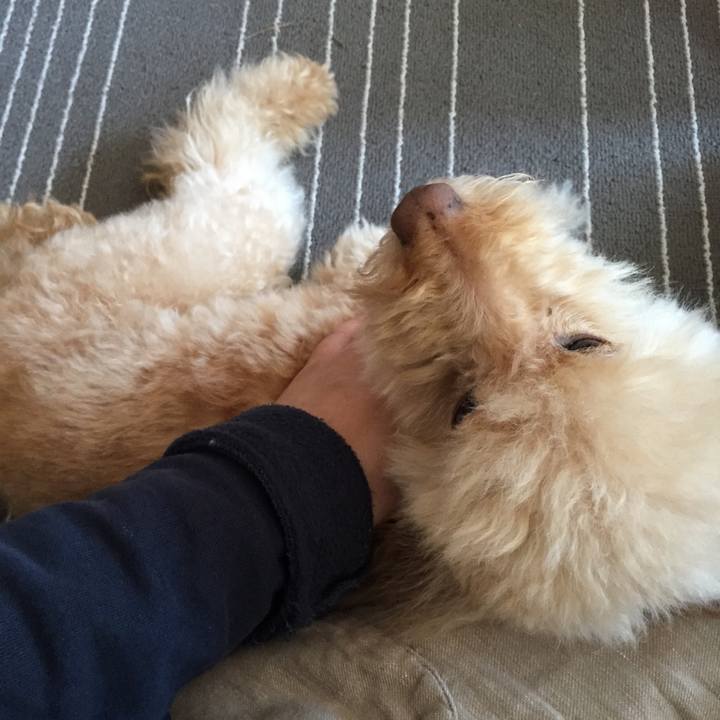 Aae9e8e4 8224 490f 8519 c373ed92dc00