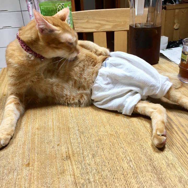 Aaeb2bb8 d2bf 46ff a698 5bea78ad13d0