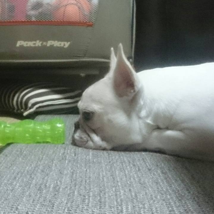 Aaeb4cba ad27 4c01 9a9f d2e337de3cfc