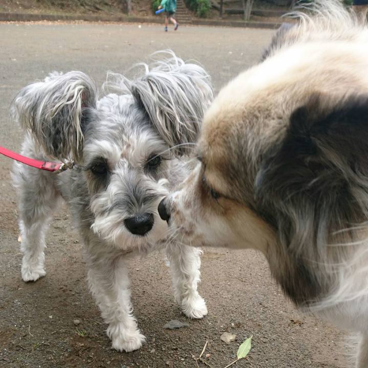 Aaeb88c7 cb2d 42b7 ab5a c4a14e6c7cfa