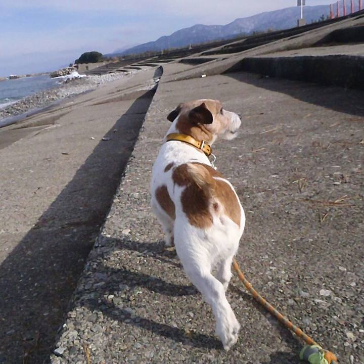 Aaebe623 99dc 4946 86d5 53d057a9763f