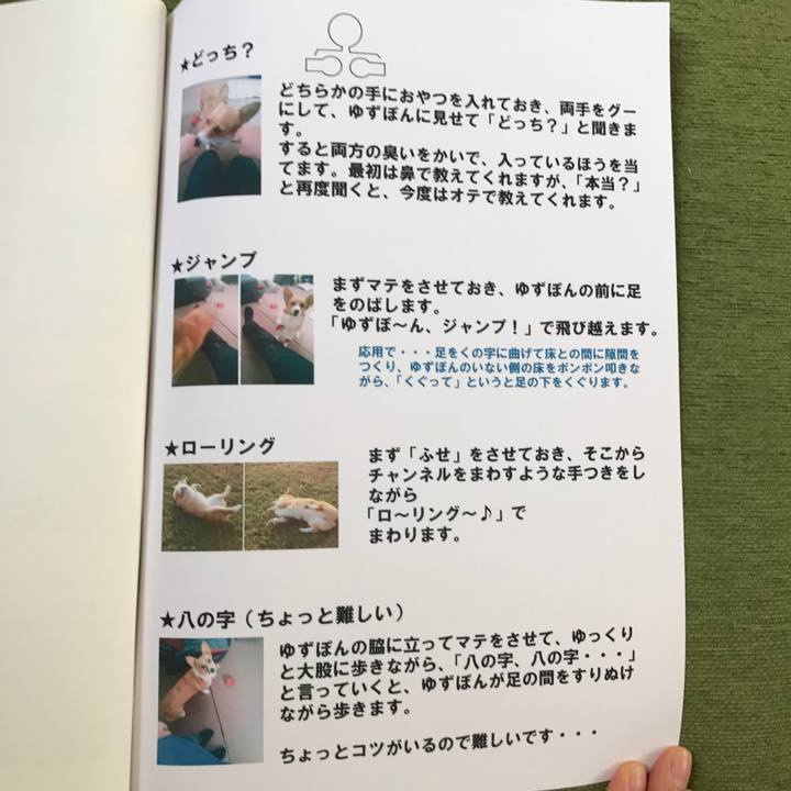 Aaec1ce0 048b 4375 bd13 2f298929af3d
