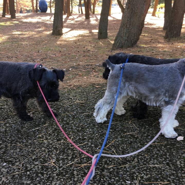 Aaec476c 7877 465a 8159 fe8154b02ce4