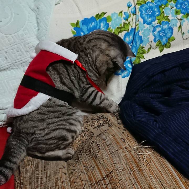 Aaec4d65 aedd 42ca a517 03e9ed3e8b5d