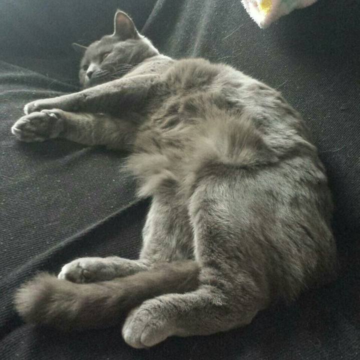 Aaec6805 71b0 41ec a5ac abd5e623ed7e