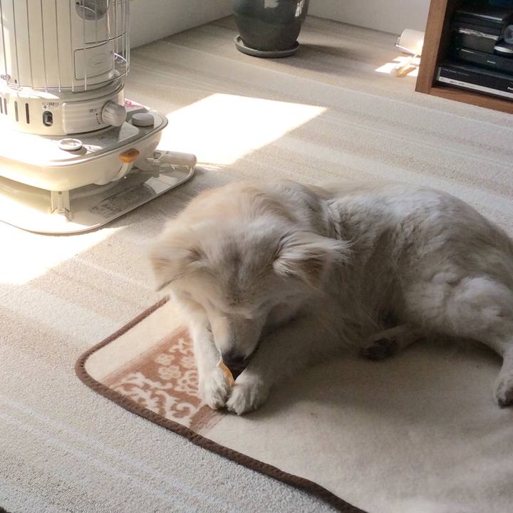 Aaec706d 988f 4efb a453 49d9782ff6ff