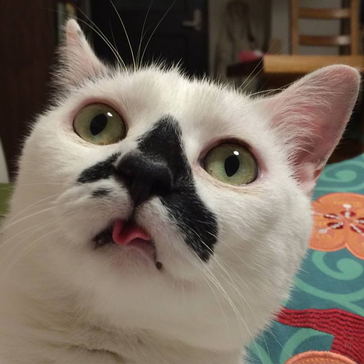 Aaed5bb1 a896 4687 b5fb 602ba494c4dd