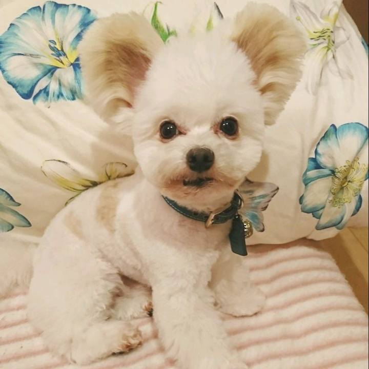 Aaed6747 bdfd 4c53 b457 f815ad068701