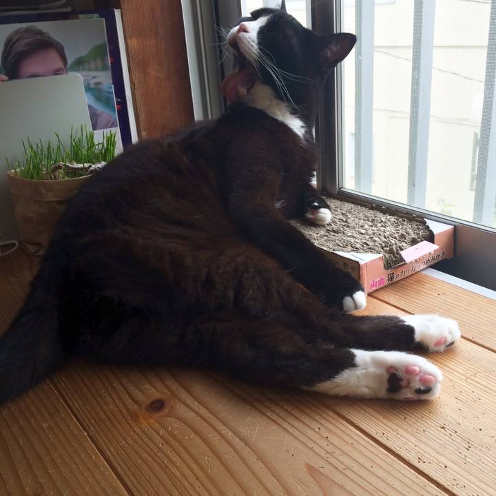 Aaedcf67 89cf 467c 902d 609713e3f5ae