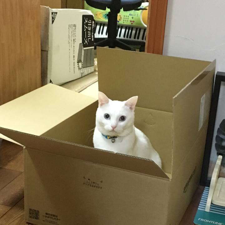 Aaee1271 2489 438a b3b1 6af3e56c379d