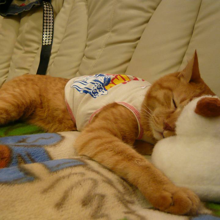 Aaee27c2 6646 49e7 8231 0fb57112b3c0