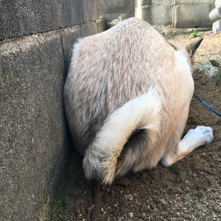 Aaee48f3 6e93 41db b59b 1ad1acb8a08a