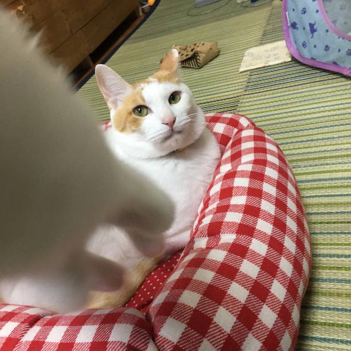 Aaef689c 829c 4d66 88a6 0b89816bde47