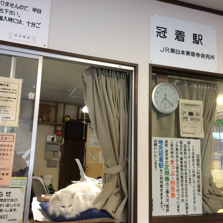 Aaefab16 3615 4efd 98e2 e6d149efca06