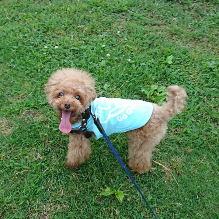 Aaf068dc 2939 42b0 821c 4fcc10af711d