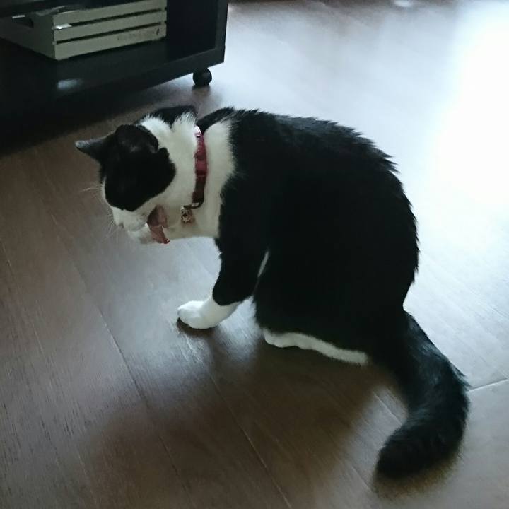 Aaf087a9 9638 4511 a171 c038be9157ce