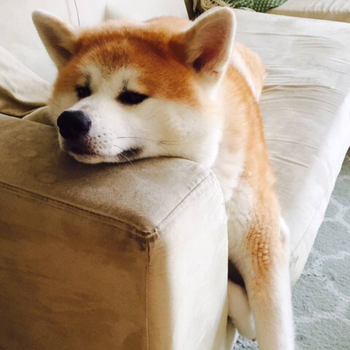 Aaf0f1e5 8372 4c32 a9b7 ff2f2b0f77cc