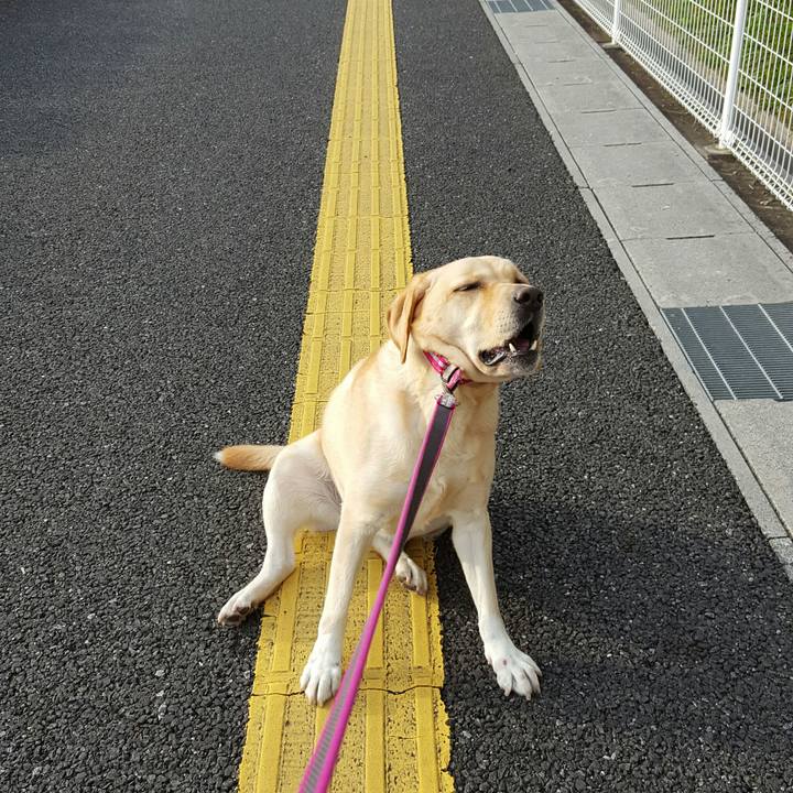 Aaf12440 ba66 4dd2 b39b 2ea014caf13f