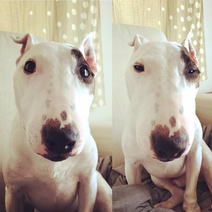 Aaf1c5ff e5e1 4f70 a33a 19e0625fd6b4