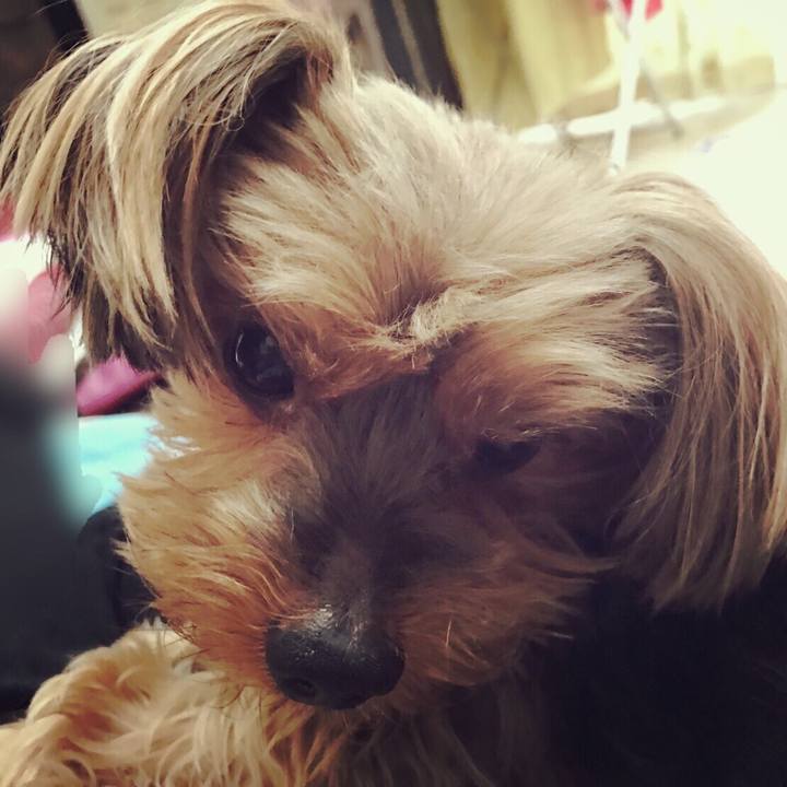 Aaf27a26 0ea9 46e9 b51b 532f2559e77e