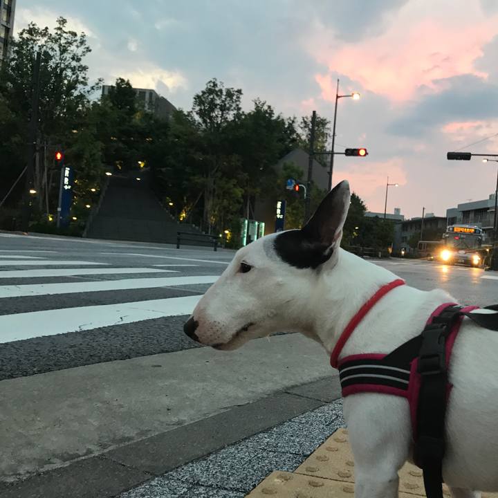 Aaf2a6d2 2b85 45b5 a2c6 faa950373442