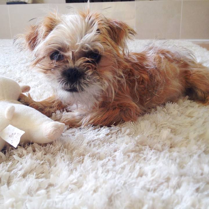 Aaf2e739 9e28 4185 aada 4a57165d6234