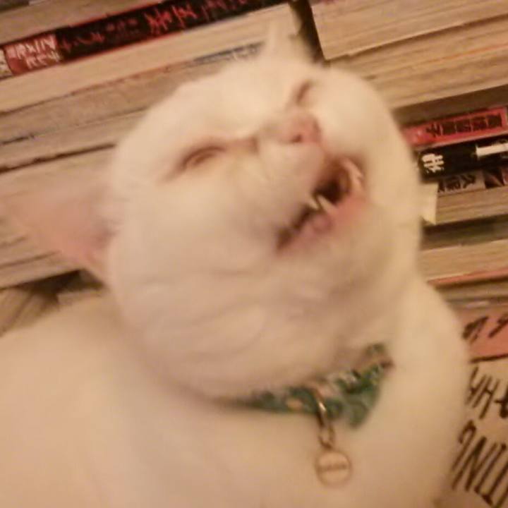 Aaf34921 8869 4197 a3c5 abcf7e36c5e5