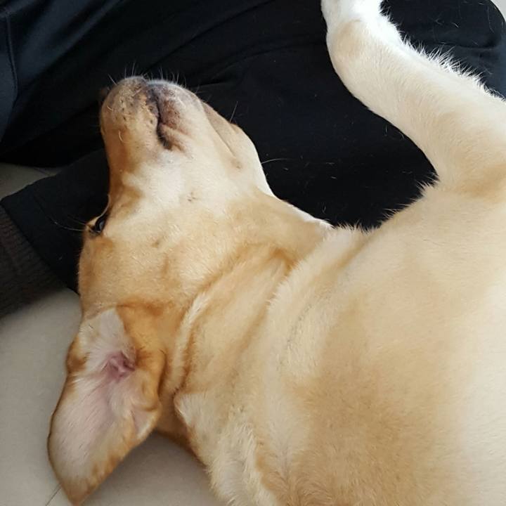 Aaf4e469 8db0 48b3 ac65 78cad7d0417f