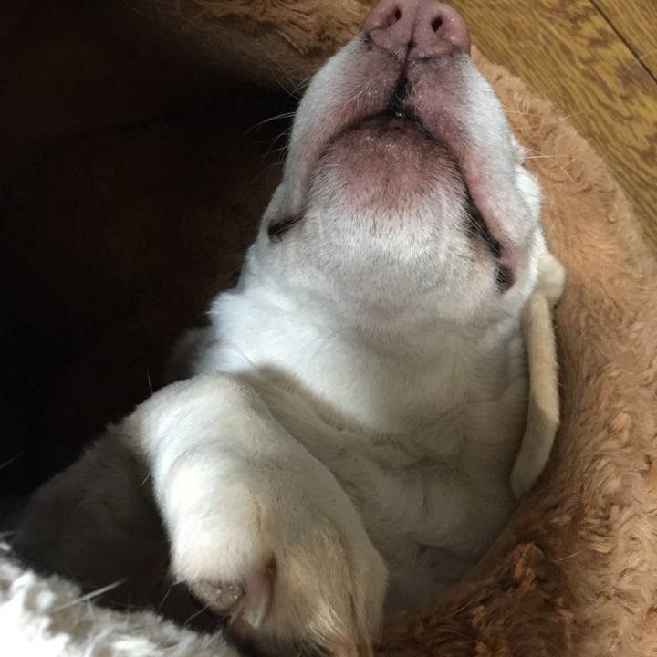 Aaf4e558 9d14 4d5a a885 eb3153e5ee24