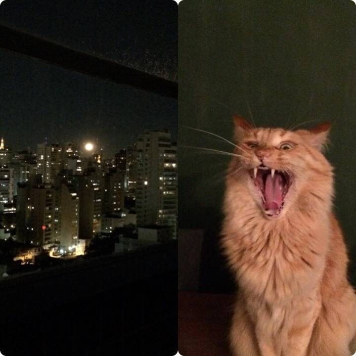 Aaf523f6 42a9 4553 a1af 819fa8c18eb5