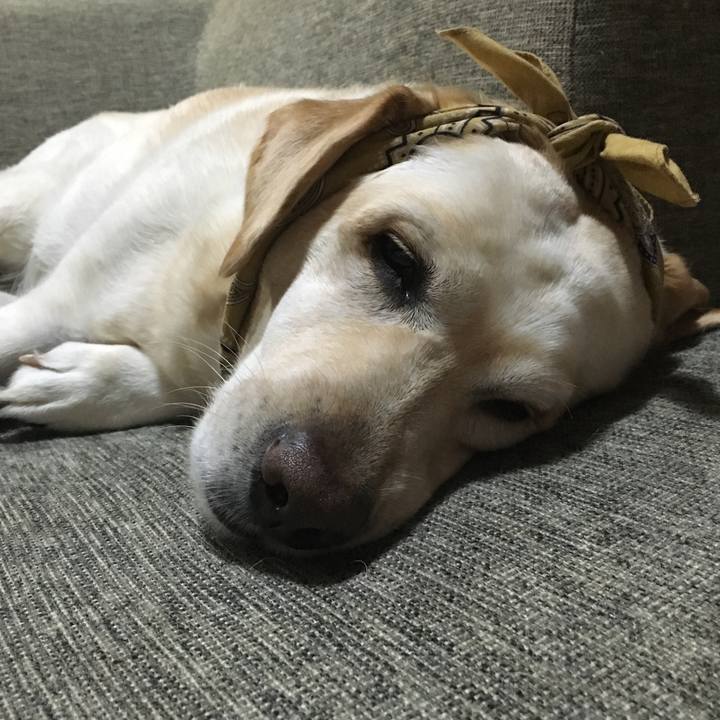 Aaf665d7 15d1 4dba adb9 338aad893e45