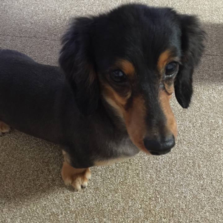 Aaf6b5e6 54a6 4ec6 8a3a fb4ff6f27e35