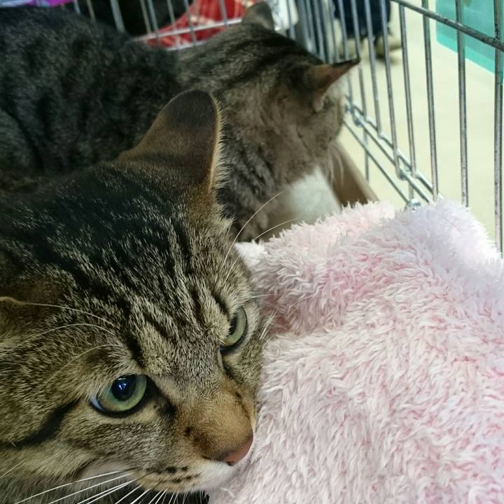 Aaf755eb afa8 4958 927d 5d1a60016278