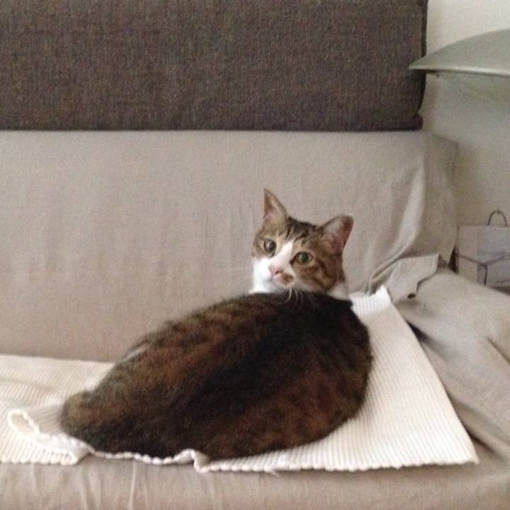 Aaf8889a 0cda 4ba5 ae35 750d5aa900a8