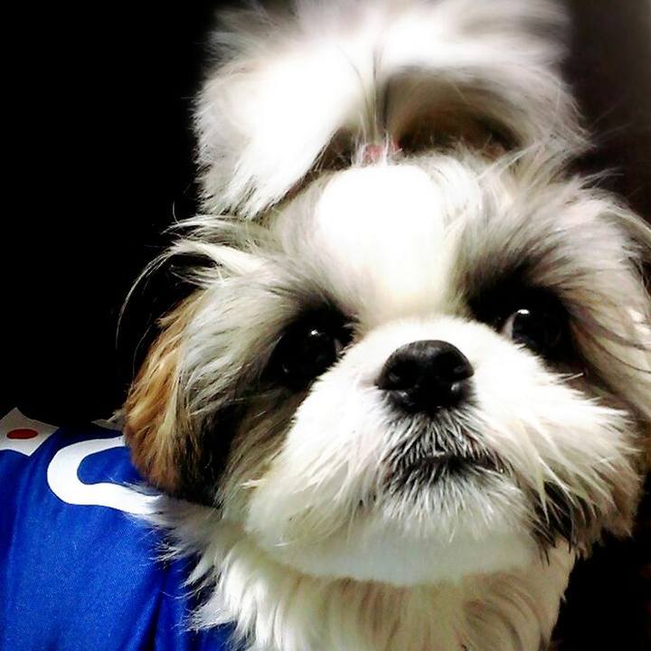 Aaf8de30 84b1 4bcd a0a0 998554c6e43d