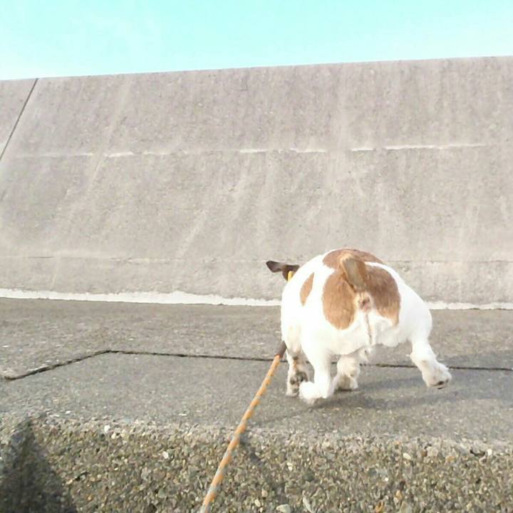 Aaf924a1 35d7 42fe 8a7e c6c0e4161632