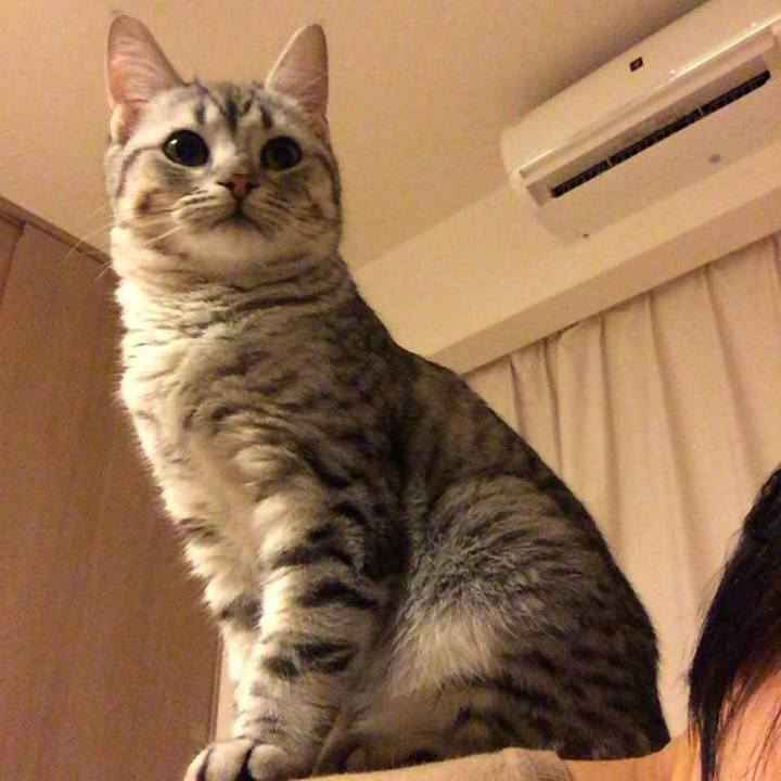 Aaf9936a 32f3 465f 980a 4b29a57abcf1