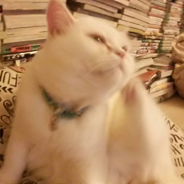 Aaf99f64 deb7 4c49 9385 7af3e0ec715e