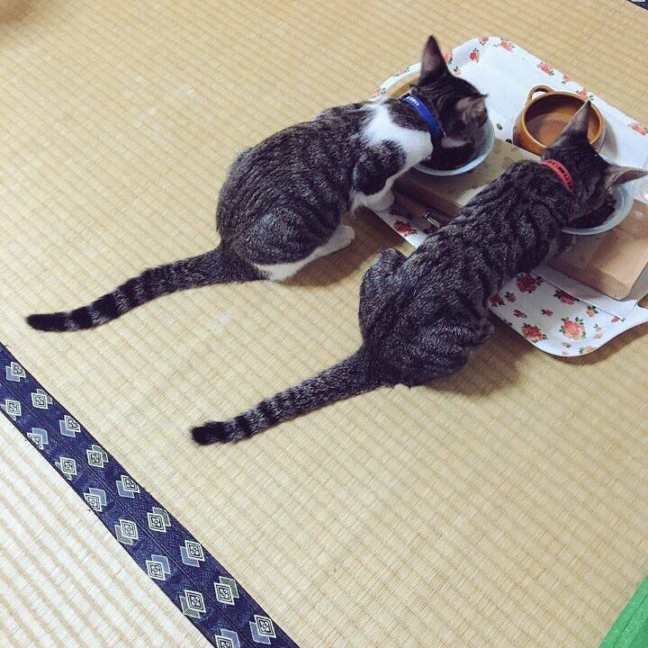 Aaf9babc 0a08 460c 993a fa95212f3115