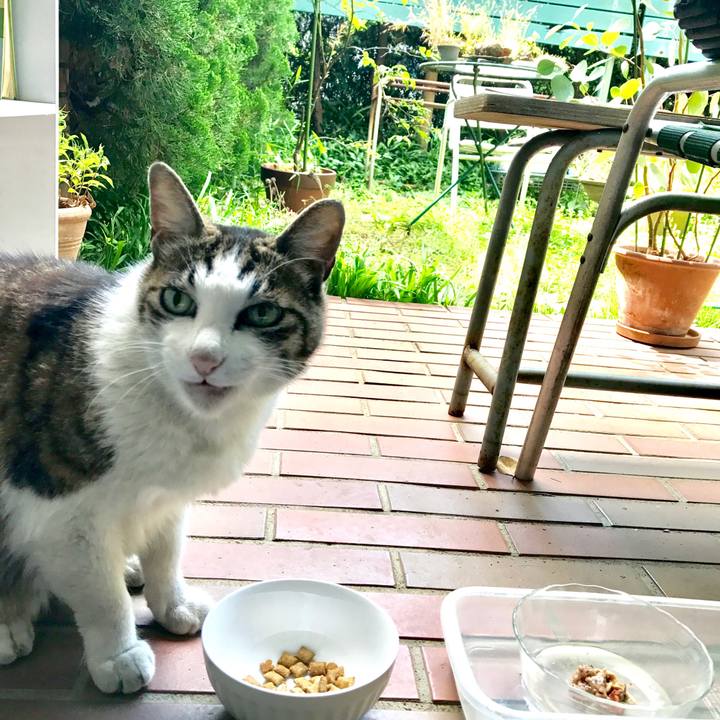 Aafa0c41 044c 45b1 b21d 9853c6c9b002