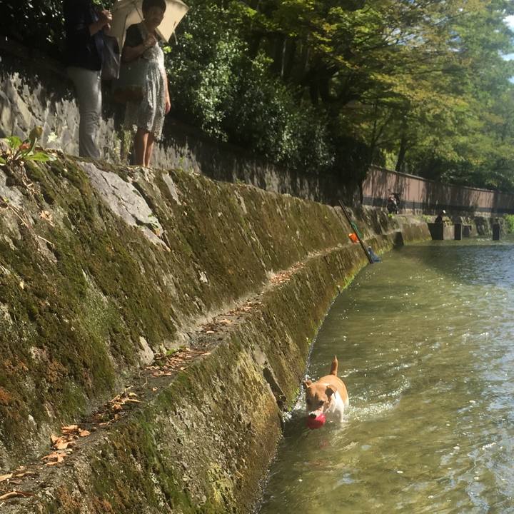 Aafa219e 6f66 4751 92e7 720e12789b0a