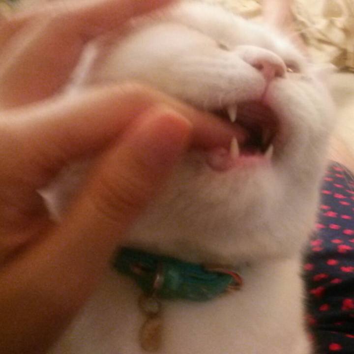 Aafa5119 629d 48dd 9f04 7e1f73590d14